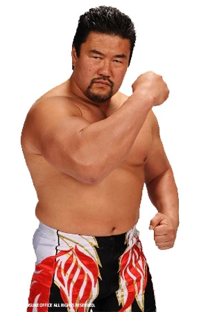 Big wrestler tournament/ranking