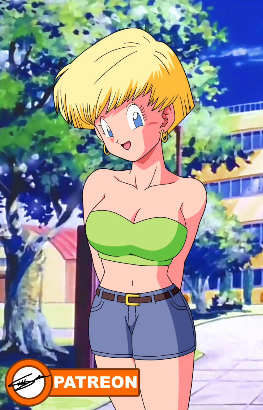 Smash Or Pass Dragon Ball Waifus