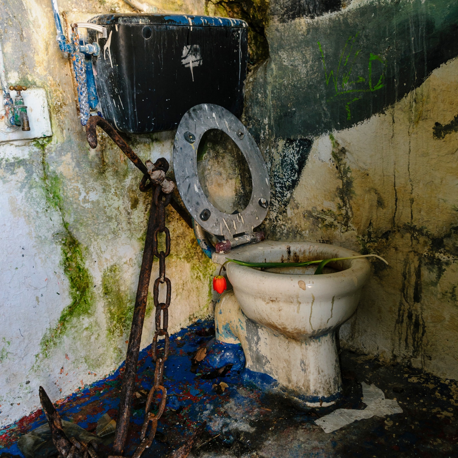 World's cleanest toilet