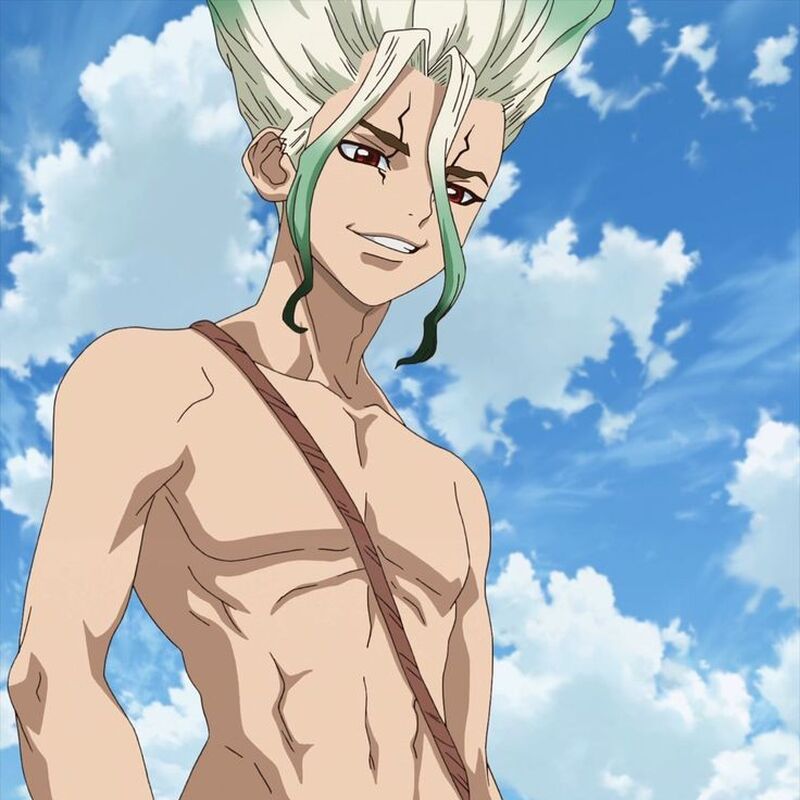 Senku Ishigami (Dr Stone)