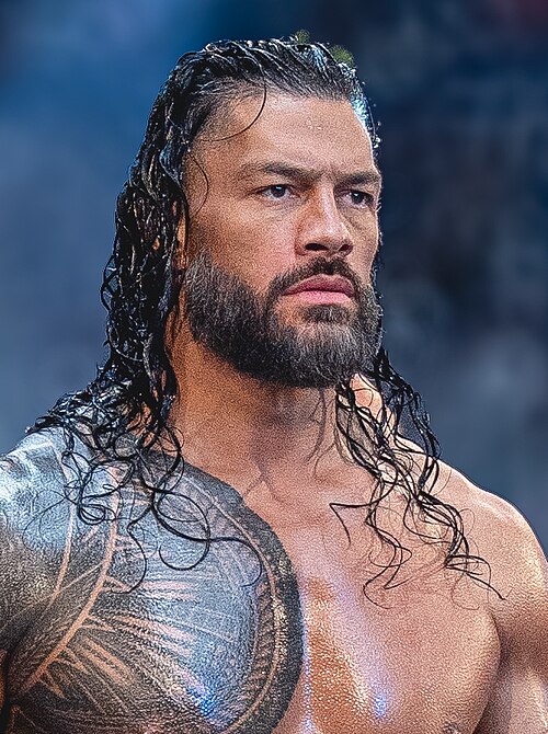 Every wrestler that’s been in a rumble since I’ve watched(2016)