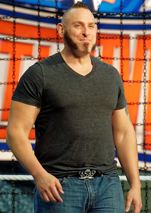 Every wrestler that’s been in a rumble since I’ve watched(2016)