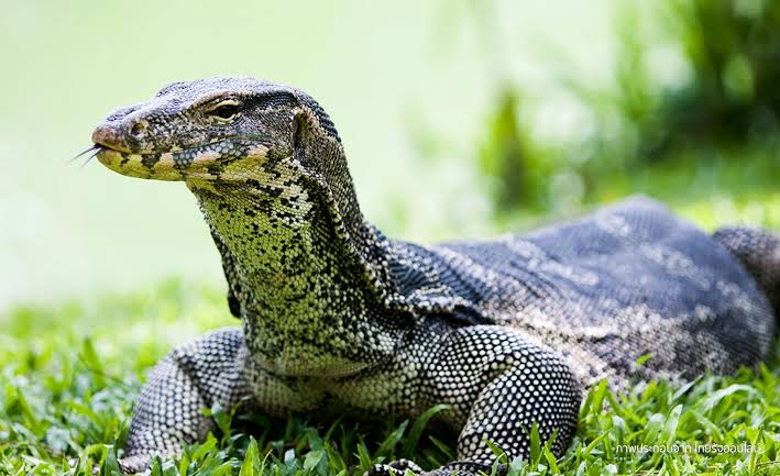 สิ่งที่คุณไม่อยากให้เข้าบ้าน