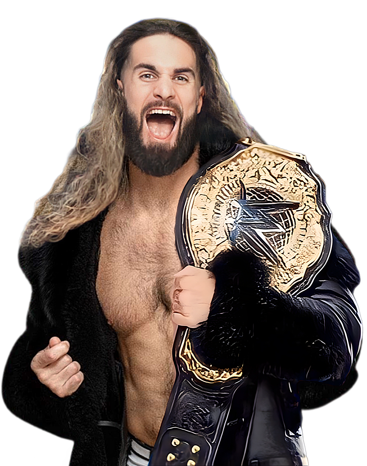 Seth Rollins