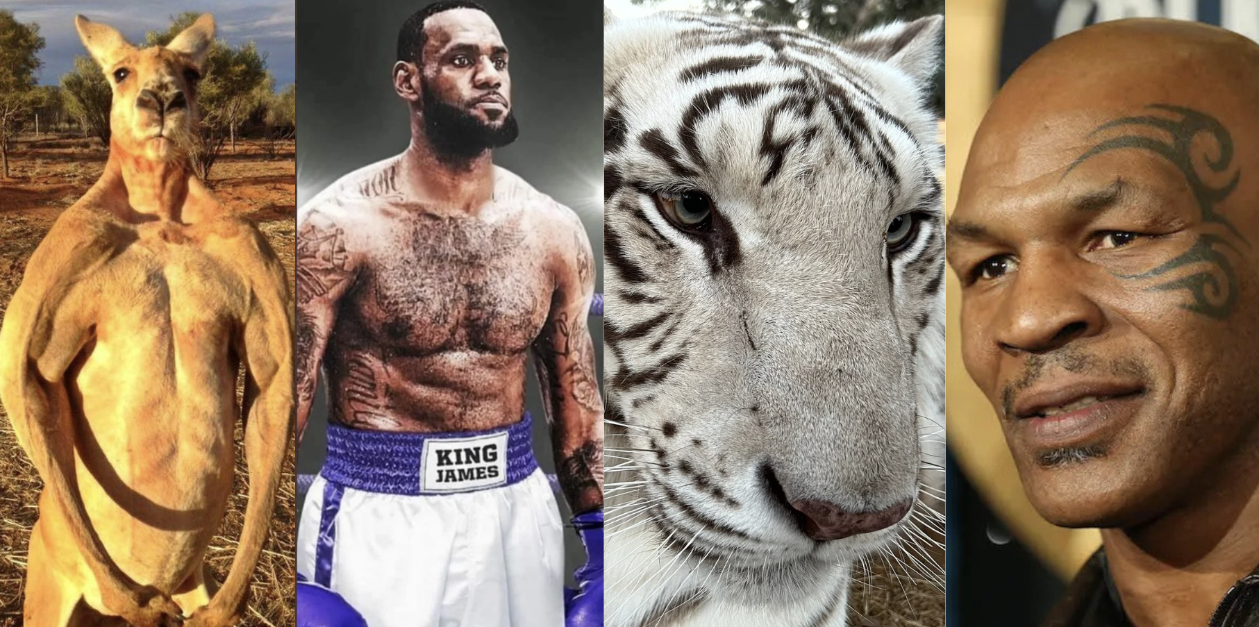 Powerscaling Animals/People