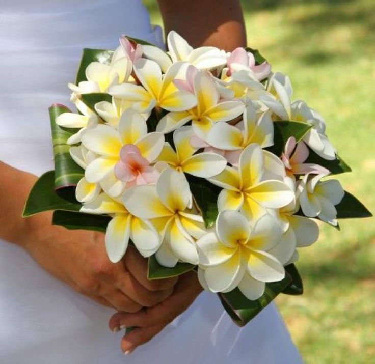 Buque de Jasmin