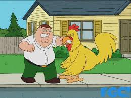 peter vs chicken - family guy