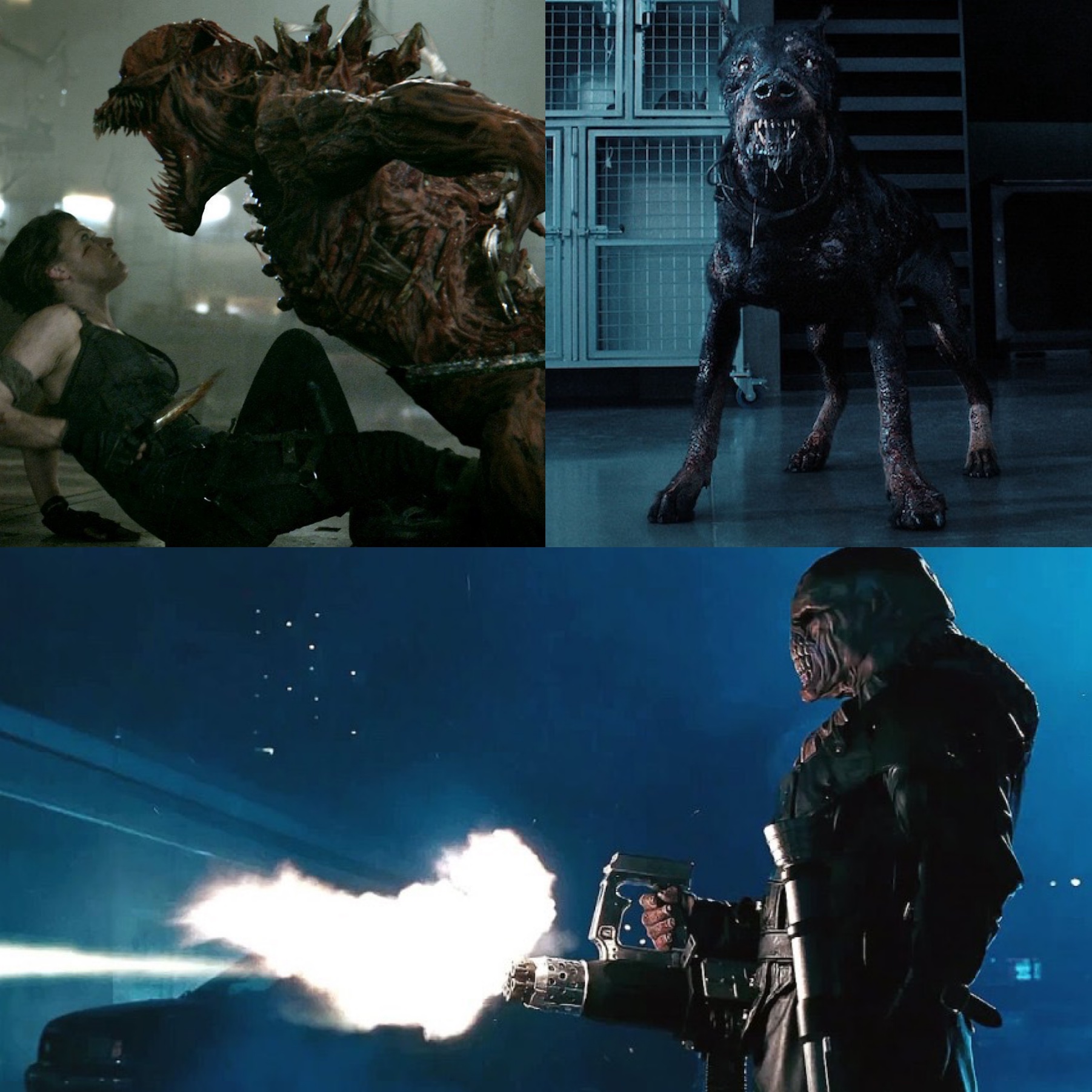 Resident Evil Universe