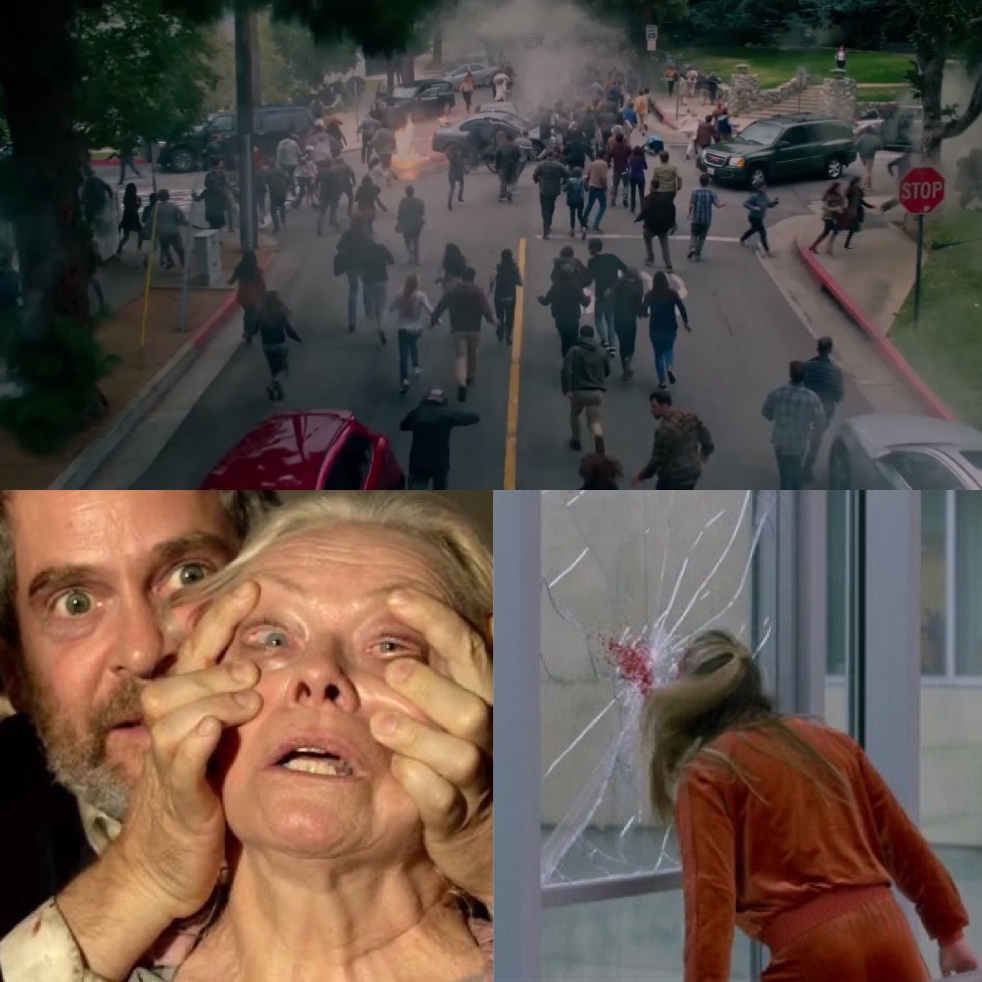 Bird Box Universe