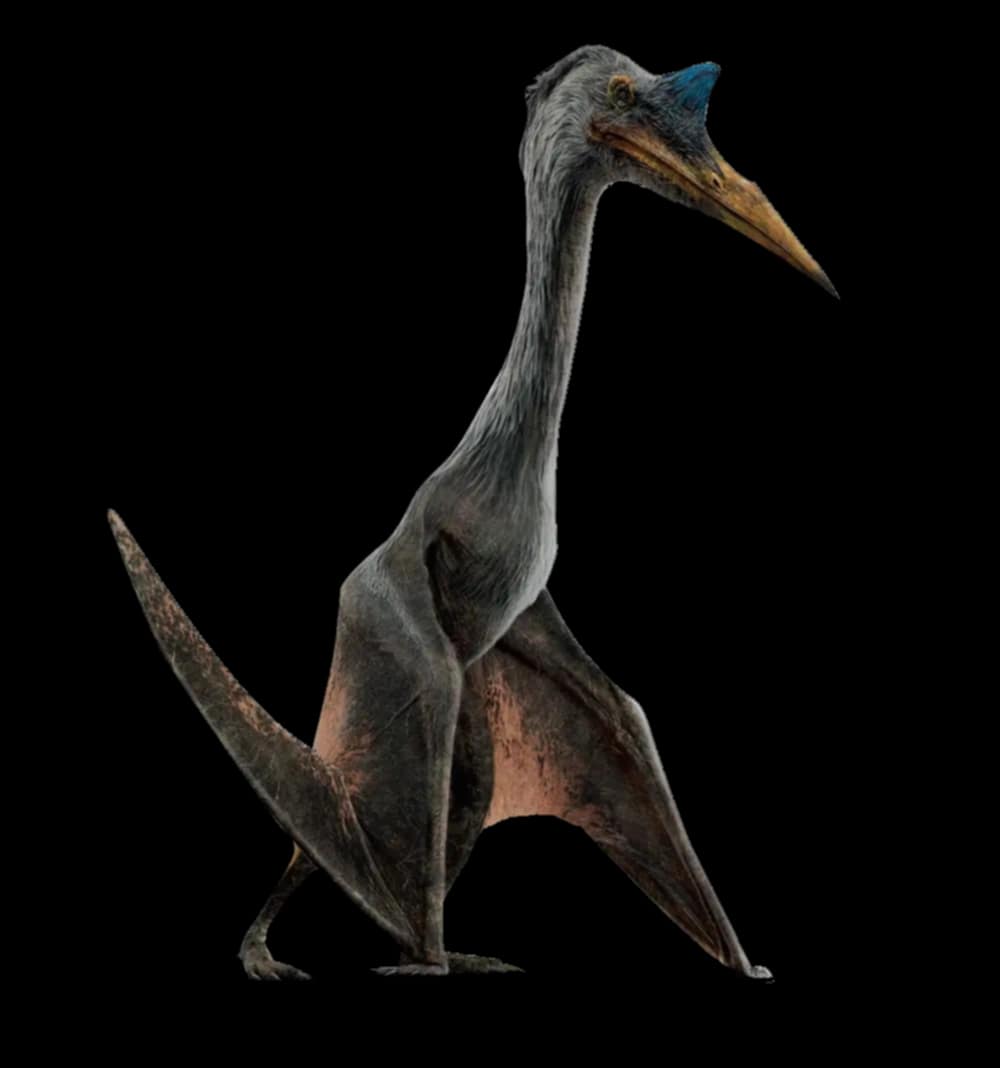 สิ่งมีชีวิตในจักราล Jurassic for สมาชม