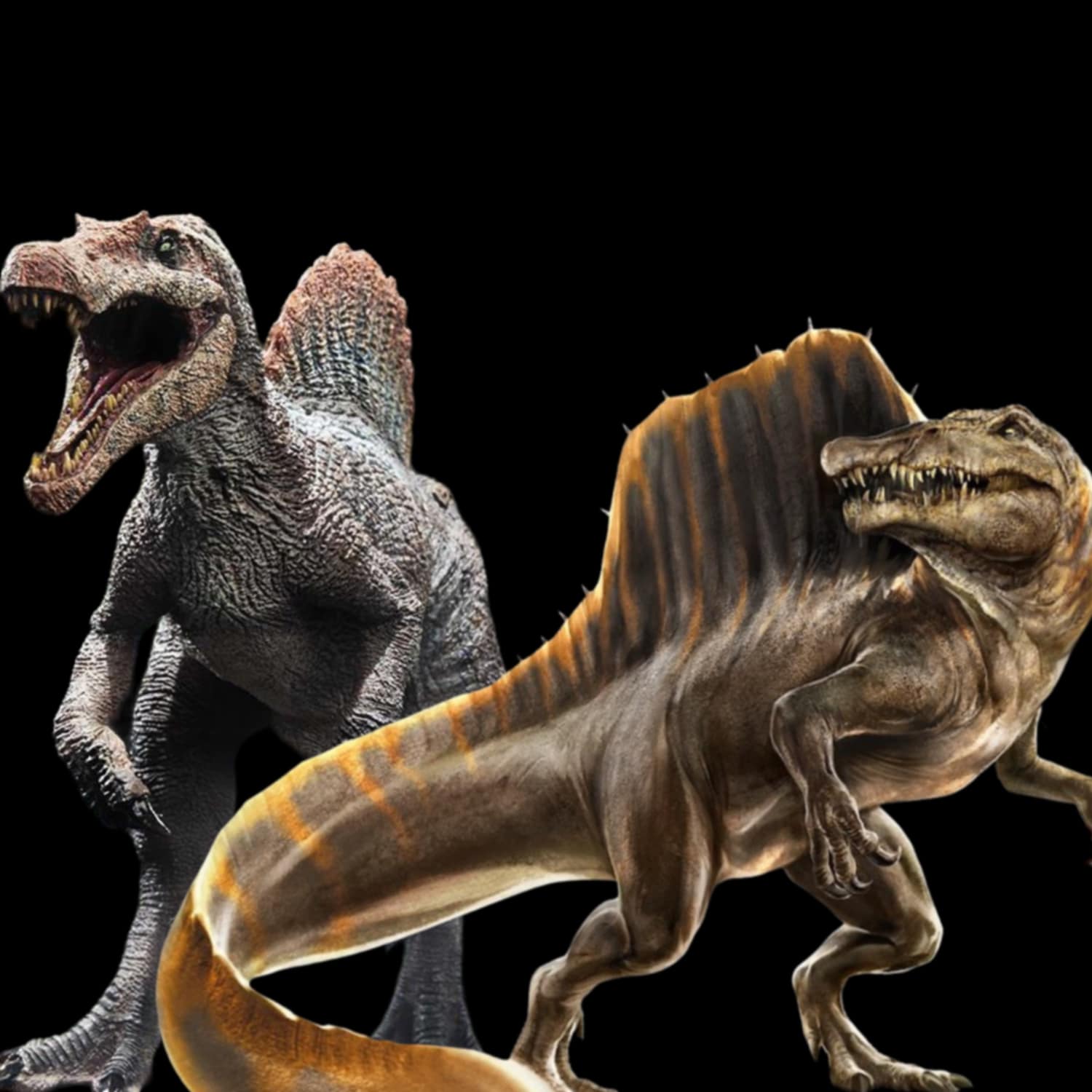 สิ่งมีชีวิตในจักราล Jurassic for สมาชม