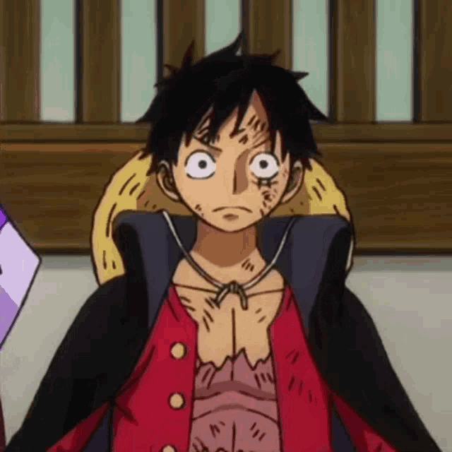 Monkey D. Luffy (One Piece)