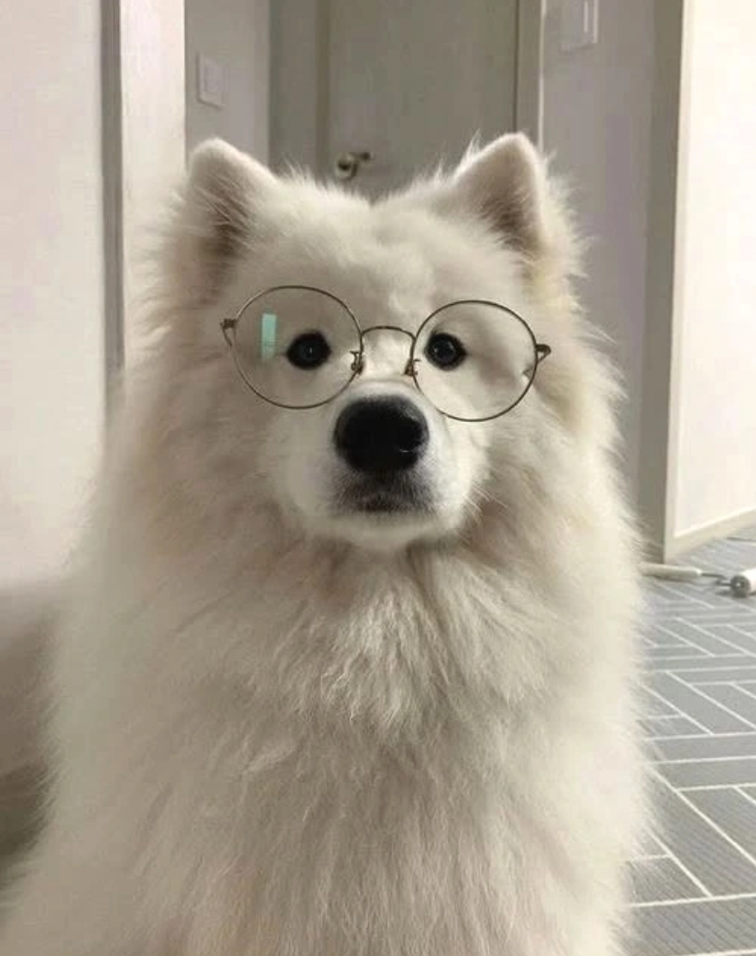 *#/#((#((฿/((#/(