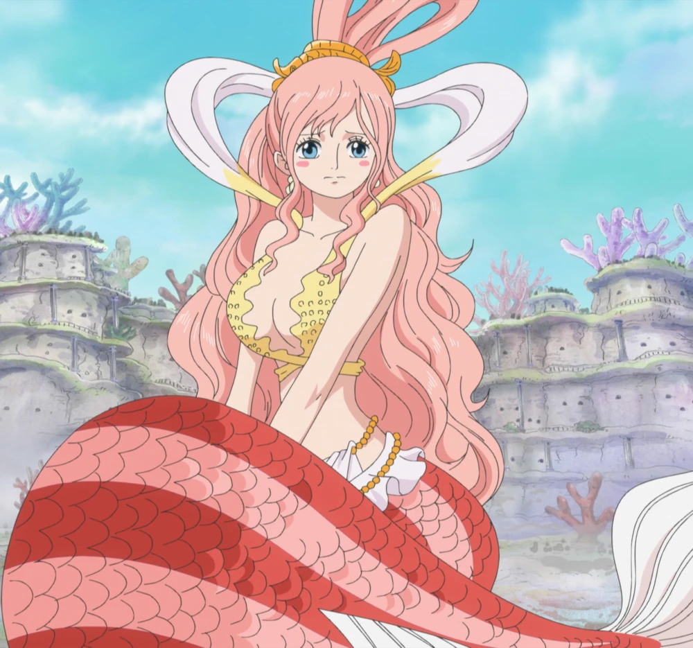 One Piece's Female Character