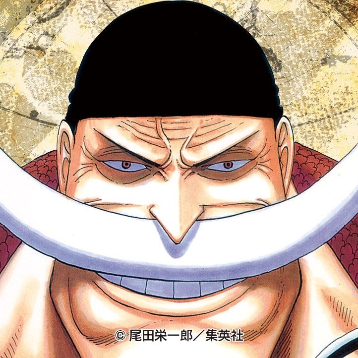 ONE PIECE CHARACTERS 
