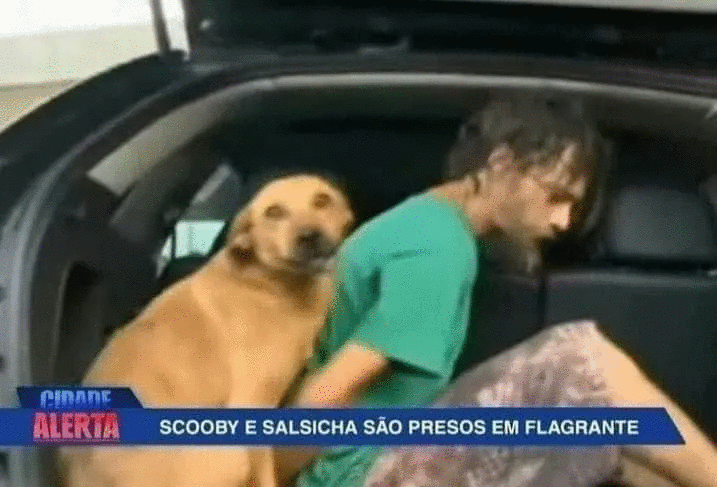 Quien ganaría en una pelea