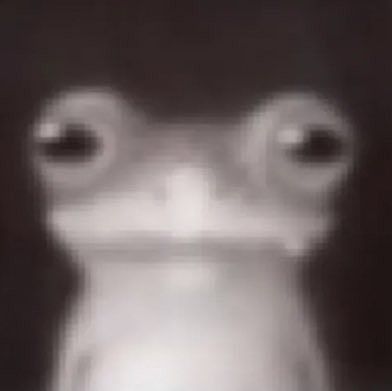 𓅰𓅰𓅰𓅰𓅰