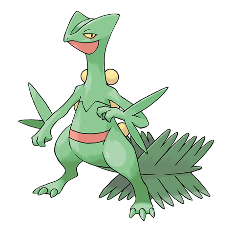 Rank my Top 100 Pokémon!!