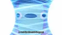 Zeno Erasure