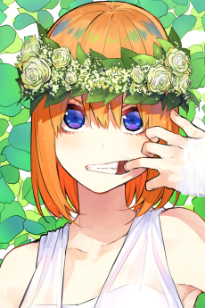 BIG WAIFU & HUSBANDO TOURNAMENT