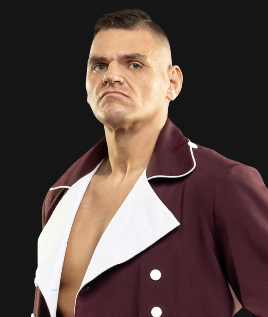 89 Random Wrestlers - Men/Women - WWE