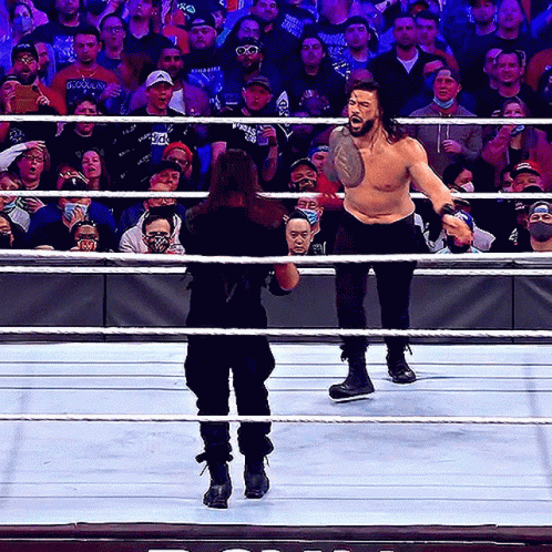 WWE Best Finishers