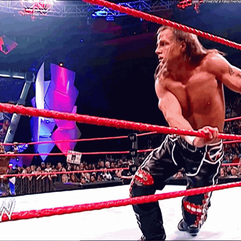 Shawn Michaels Sweet Chin Music