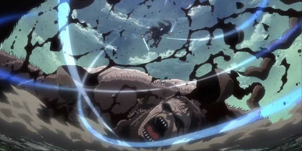 Levi vs monkey
