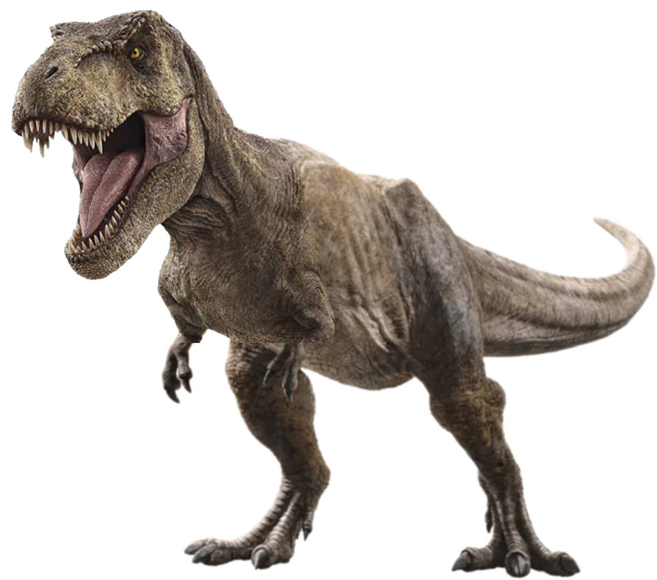 ไทแรนโนซอรัส-เร็ก (T.Rex)