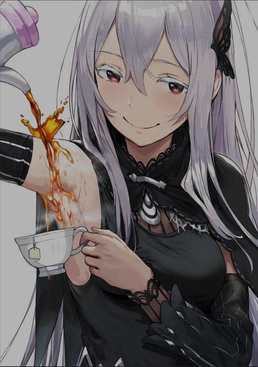 Echidna 
