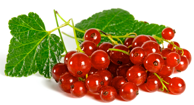 Meilleur Fruit