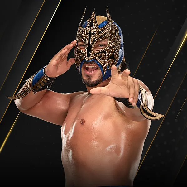 Masked Wrestler tournament/blind ranking