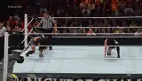 Who Has the Best Finisher in the Professional Wrestling Business