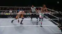 Who Has the Best Finisher in the Professional Wrestling Business