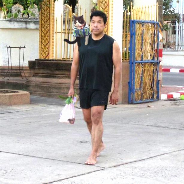 ชัชชาติ