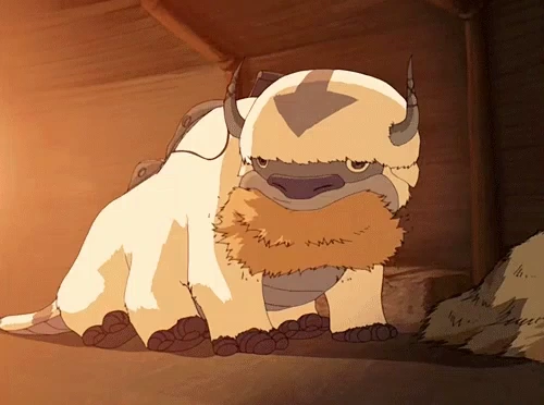 Appa