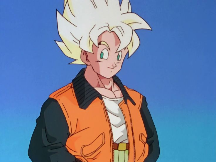 Goku (Orange jacket)