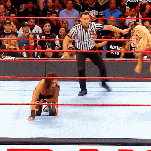 Wwe Best Finishers Pt-2