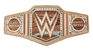 All Professonal Wreslting Championships