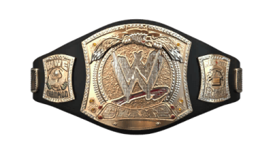 All Professonal Wreslting Championships