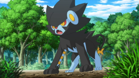 Pokemon 1-5 g