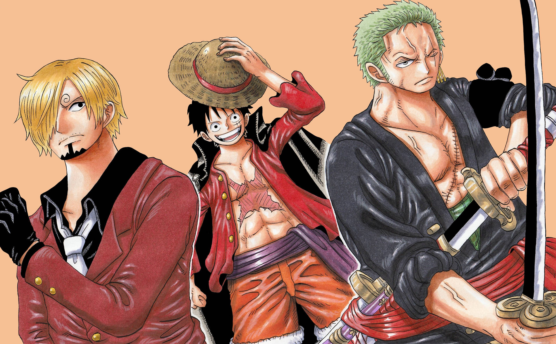 Luffy Zoro Sanji