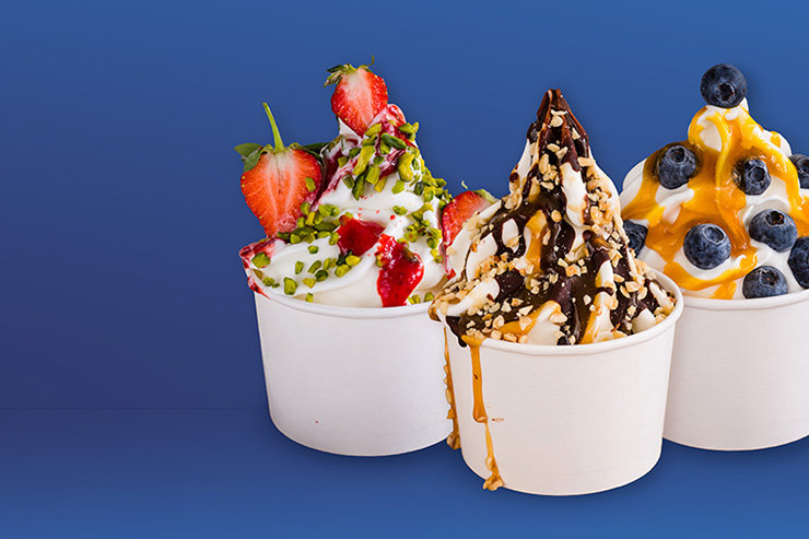 Frozen Yogurt