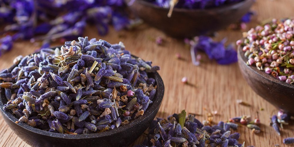 Lavender