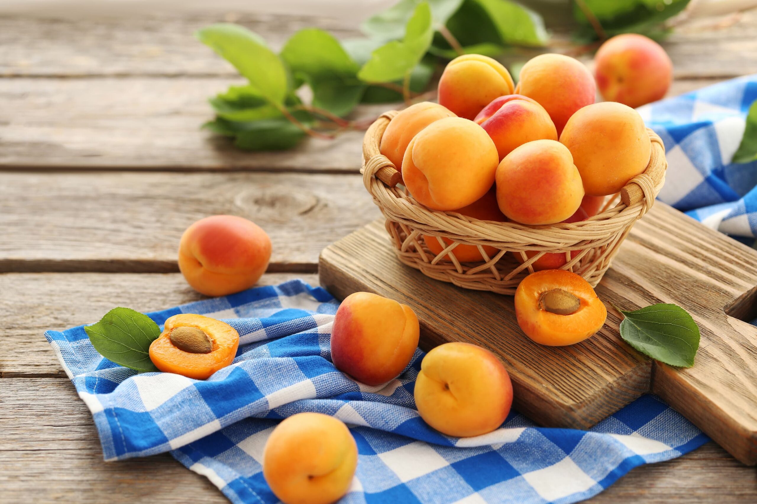 Apricot