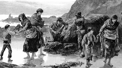 Worldwide Famine