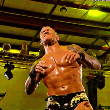 Randy Orton