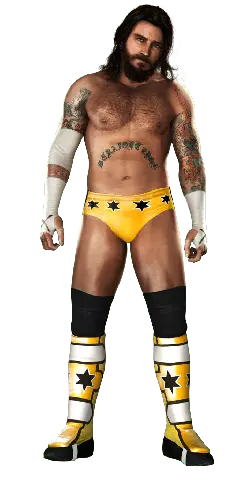CM Punk