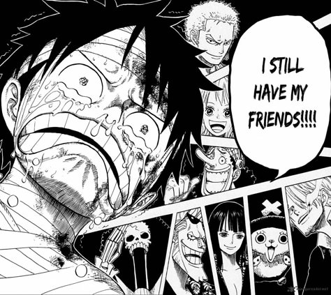 I Still Have My Friends [One Piece]
