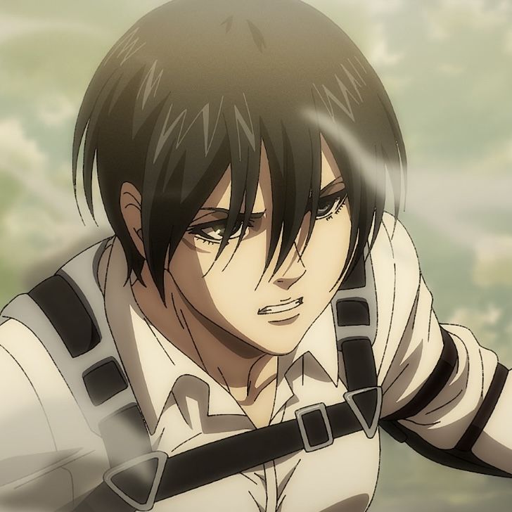 mikasa [adult]